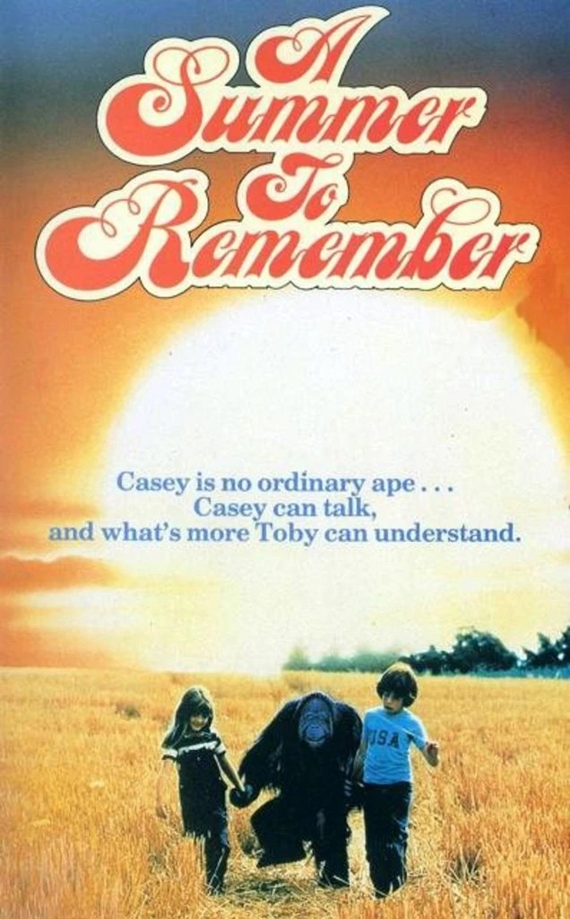 Постер A Summer to Remember